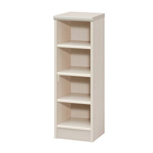 G[XbN / J[bN NC9030 LN m Cgi` [J[