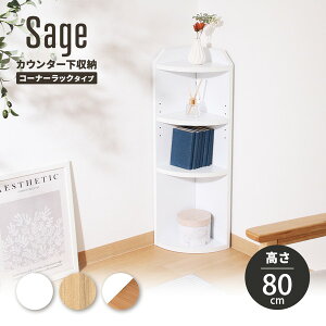 R[i[bN JE^[[  Lb` rO  [ I I[vbN fBXvCbN RpNg ȃXy[X X k ؐ zCg T[W AEgbg 