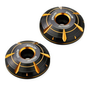 D42696 PREMIUM ZONE �o�[�G���h ���u��1100 GB350/S��p HANABI �S�[���h �f�C�g�i XP1025