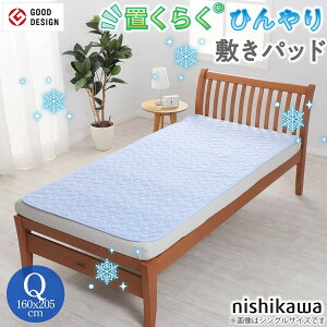 u炭 Ђ~pbh CP786 207378639230 u[ NC[TCY 