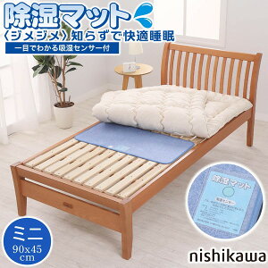 �����}�b�g 90cm×45cm ����Q�� �z�c�p �Q�� �z���Z���T�[�t�� �z�c ���� ���C�΍� ����Ԃ��g���� �z�c�̉� �J�r�΍� �_�j�΍� �x�b�h �}�b�g���X �~���p�b�h �x�r�[�x�b�h ��� CP2551NS �u���[