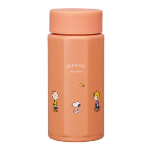 STO4 Xk[s[ XP[^[ [XeX}O{g (350ml ₷ 8p` ۉۗ ^2d\)]