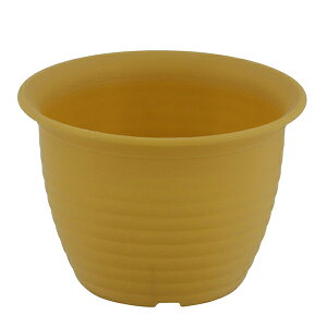 MA-3258 xXgR t[O|bg  v^[ 4 XCG[