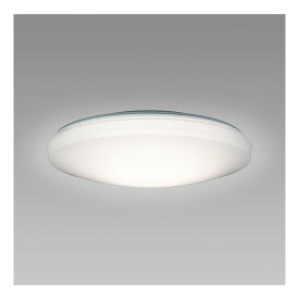 HLDC06258 LED シーリングライト HotaluX(ホタルクス) NEC 6畳 虫が入りにくい 天井照明 日本製 節電 節約 明るい 簡単取付 調色 調光 リモコン付 5段階調光 5段階調色 常夜灯3段階