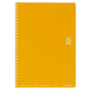 RN X-SV301BT-YR IW [\tgOm[g(hbgr) Z~B5] V