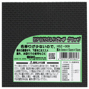 HSZ-09 EPDMSX|W Obv  aCY