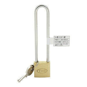 cV_[ TWE 30×100MM aCY