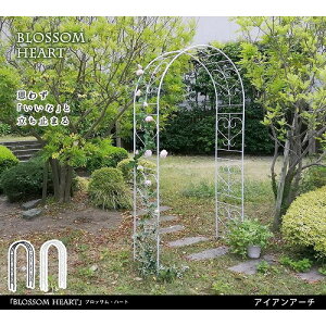 ACAA[` ubTn[g zCg IA-BH005WHT Z܂X^C [J[