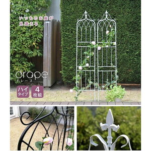 ACAtFX h[v nC^Cv 4g zCg IF-DR029-4P-WHT Z܂X^C [J[