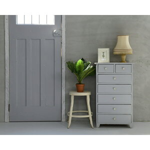 tFCNO[ AJV 50cmFG-ARECA50 RP [J[