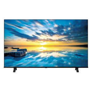 テレビ 55インチ 55C350M TVS レグザ REGZA C350M Professional series 55V型 55型 地上・BS・110度CSデジタル 4Kチューナー内蔵 液晶テレビ エクプラ特選