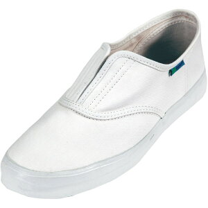 1000 zCg 23.5 iS [nCp[Vт]