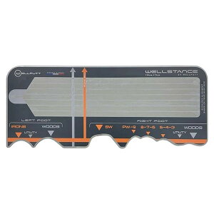 Wellstance (EFX^X) p^[K@ 2024Nf 70×30 ubN EFpbg