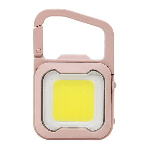 WRC-21DP TV [~jCg[d҂]