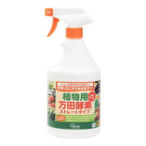 cyf 900ml ACXI[} [ApcyfXg[g^Cv]