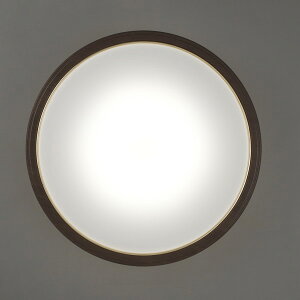 CEA14DL-5.0QWFM �A�C���X�I�[���} [LED�V�[�����O���C�g (�`14��/���F�E����) �����R���t��] ���[�J�[����