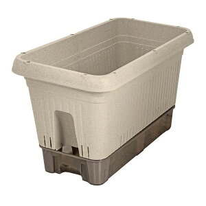 MA-4202 xXgR AC{[ v^[ 500^ [v^[ (ybg{gŎ LX^[t)]