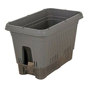 MA-4203 xXgR O[ v^[ 500^ [v^[ (ybg{gŎ LX^[t)]