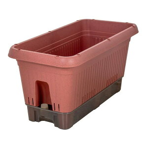 MA-4204 xXgR eRb^ v^[ 650^ [v^[ (ybg{gŎ LX^[t)]