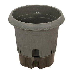 MA-4209 xXgR O[ |bg 300^ [Aؔ]