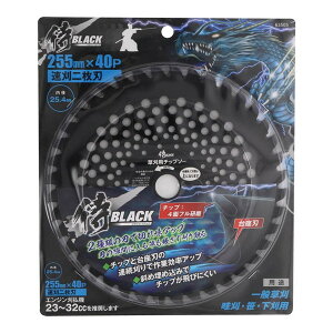806063505 V BLACK [`bv\[ 2n 255×40P]