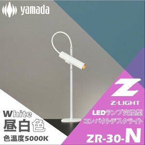 fXNCg F RpNg LEDv^ ~j}fUC Vv g₷ ZR-30 W-N zCg