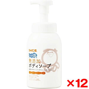 y12ZbgzV{ʐΌ Y{fB\[v ՂA 570ml