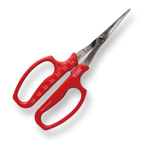 321DX-M-BP AXR[|[V Ȑn BP [ԂǂE]