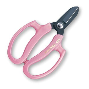 FP-17-P AXR[|[V sN t[ [ƖpԂ͂]