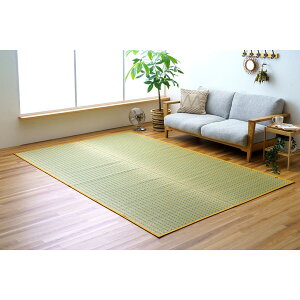 1082090040502 ���{ ���� �C�O�T ���R�f�� �� �N�� �J�[�y�b�g ���O �]�ˊ�4.5�� 261×261cm �u���[ �C�P�q�R�E�R�[�|���[�V���� �������� ������ ���[�J�[����