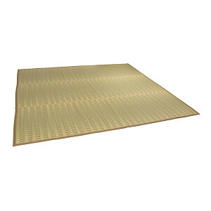 1080060021502 Y |D Ԃ  ~ J[ybg x[W {8 (382×382cm) CPqRER[|[V [J[