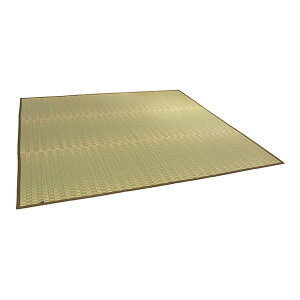 1080060120802 Y |D Ԃ  ~ J[ybg O[ ]ˊ10 (435×352cm) CPqRER[|[V [J[