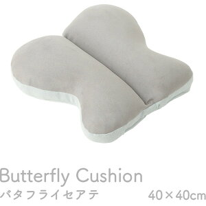 1224470130735 �N�b�V���� ���� ���傤 �o�^�t���C �p�X�e�� �O���[ ��40×40cm �C�P�q�R�E�R�[�|���[�V���� ���[�J�[����