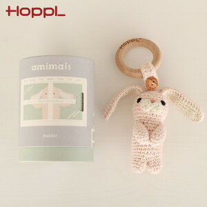 HOPPL Aj}Y }XRbg  BTL-AM-M-RB zbv [J[