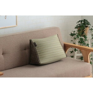 1120700062201 NbV 났  RۖhL Vv ѐRoK[hgp 40×30×20cm uE CPqRER[|[V [J[