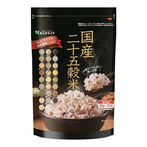 Y\܍ (30g×22) 4500600360 ނ点CX [J[