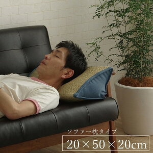 1121760041901  낮 \t@ɃNbV  \t@ 炳 L Vv 20×50×20cm CPqRER[|[V [J[