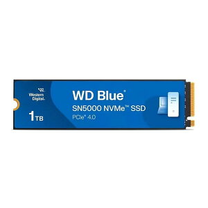 WDS100T4B0E WESTERN DIGITAL [SSD]