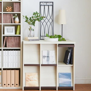 SEP-9095F IV fBXvCbN Y [J[