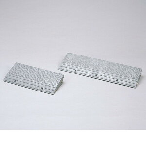 NDP-600E ACXI[} O[ [iv[g] [J[