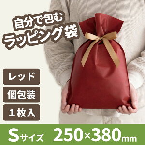 bsO  sDz  bh S 250×380mm 1 v[gp Mtgp В obO { ȒP   ʂ ObY NX}X a GW