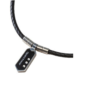 NCX QULIS lbNX }OleBbN Pro Vo[ M ClbNX fB[X Y  X|[c fXN[N  ǗË@F Mtg {