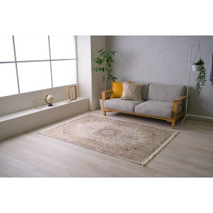 1294960027132 AJ 2p BE 160×230 CPqRER[|[V [J[