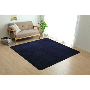 1292641196401 レイヤーAZ 約3畳用 NV 200×240 イケヒコ・コーポレーション メーカー直送