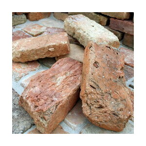 AeB[NK I[hGCWubN 50 Ό [J[