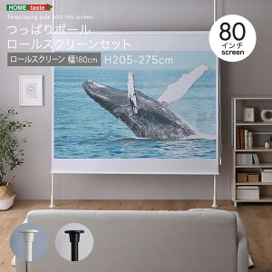 SH-29-TTRS-180 ς|[ [XN[ Zbg 180cm zCg z[eCXg [J[