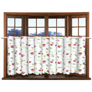 VhhJrUVJbgJtFJ[e CFC-100 75×150cm 3 aOrA