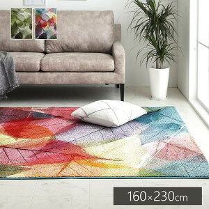 1320950010401 n~ 160×230 CPqRER[|[V }` [EBgDJ[ybg] [J[