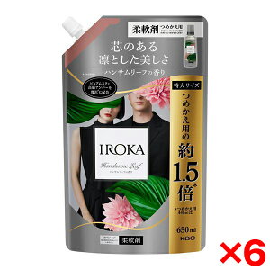 �y6�Z�b�g�z�ԉ� IROKA �n���T�����[�t �X�p�E�g 650ml