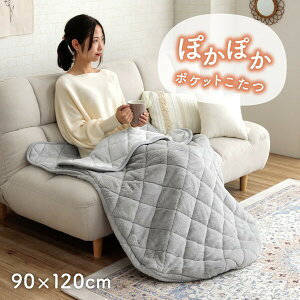 1172331135199 |Pbg sAX ؍CeA ӂӂ LeBO n 􂦂 􂢃O[ 90×120cm CPqRER[|[V [J[